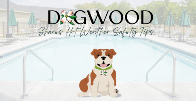 Drawing of a brown and white dog with "DogWood" Text