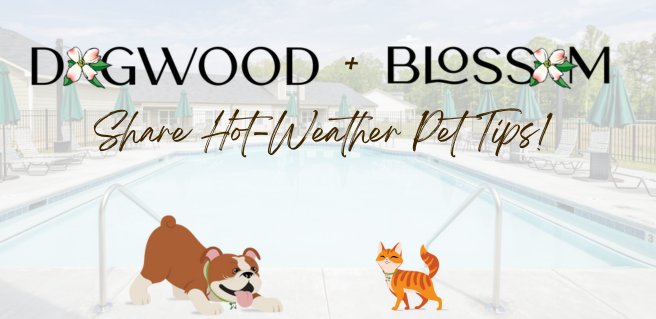 Dogwood and Blossom share summer hot weather pet care tips