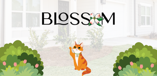 Introducing Blossom, an orange tabby cat and newest virtual pet mascot for Ranch Cottages for Rent