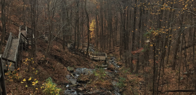 view of Amicalola Falls State Park in Dawsonville, Georgia